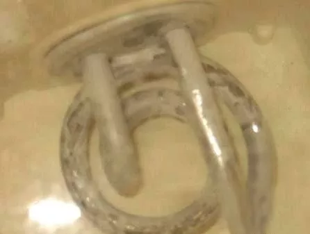 太惡心！女游客竟用酒店燒水壺煮自己的臟內(nèi)褲