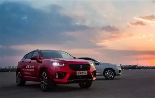 去年“蹦”出來的新汽車品牌們，現(xiàn)在活得怎么樣了？
