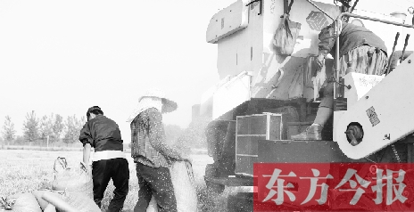 李正厚的妻子鮑本華（右）和一位村民拎著麻袋來(lái)到收割機(jī)前，接住傾倒出來(lái)的麥粒