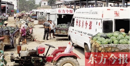 昨日，東方今報與河南福壽園聯(lián)合購瓜，只有更多的市民和企業(yè)加入購瓜行動，瓜農(nóng)們才能早日回家