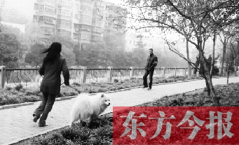 12月3日，鄭州市南關(guān)街熊兒河旁，一名遛狗的女子見到執(zhí)法人員檢查，迅速跑開