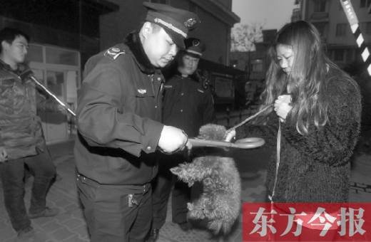 12月3日早上6點半，鄭州市南關(guān)街熊兒河旁，南關(guān)街辦事處的執(zhí)法人員對狗進行排查