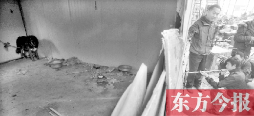 12月4日，鄭州市未來路與隴海路交叉口西側(cè)，執(zhí)法人員用吹管麻醉針對(duì)付一只藏獒