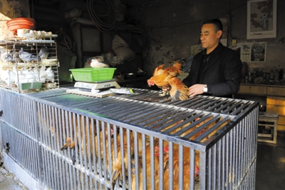 南京另一家農(nóng)貿(mào)市場(chǎng)內(nèi)待售的活雞。因南京出現(xiàn)H7N9禽流病例，買活雞的顧客減少。