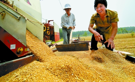 6月3日， 濮陽開發(fā)區(qū)胡村鄉(xiāng)后范莊村的續(xù)秀萍看著新打的粒大飽滿的小麥喜上眉梢。