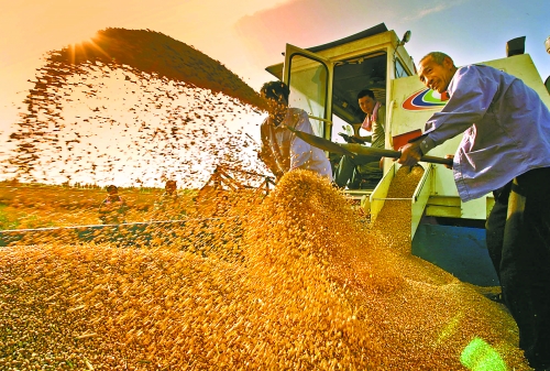根據(jù)國家統(tǒng)計(jì)局核定結(jié)果，我省2012年糧食總產(chǎn)量達(dá)到1127.72億斤，成為第9個(gè)連續(xù)增產(chǎn)年份。