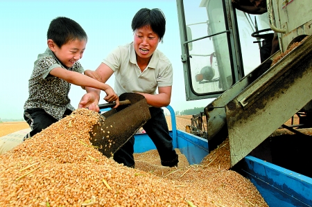 5月27日，確山縣劉店鎮(zhèn)前槽村郭景蓮和小孫子一起收獲小麥，豐收的喜悅寫在了臉上。