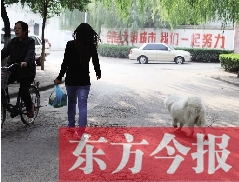 啟明一巷內，一名女子帶著狗狗去買菜。狗隨地大小便，狗的主人未制止