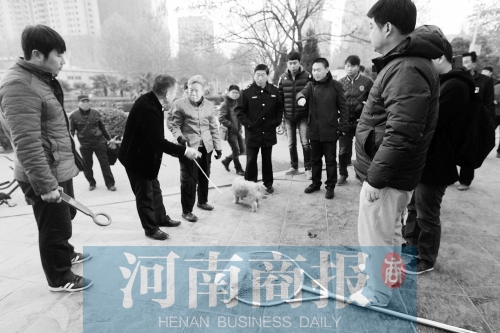 一只辦過(guò)狗證的小白狗，因?yàn)闆](méi)有拴犬鏈，被執(zhí)法人員暫扣