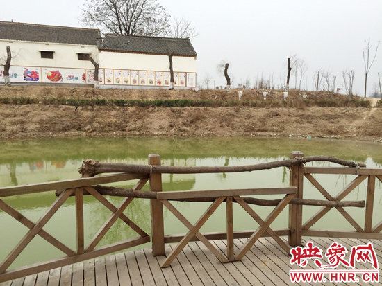 護(hù)欄損毀的地方，已經(jīng)被兩根樹(shù)干擋住。