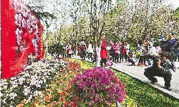 市民紛紛將鏡頭對準花叢。