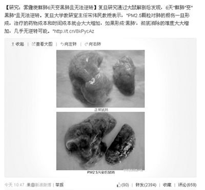 昨天，一則“霧霾使鮮肺6天變黑肺”的新聞在網(wǎng)上引發(fā)熱議。網(wǎng)絡(luò)截圖