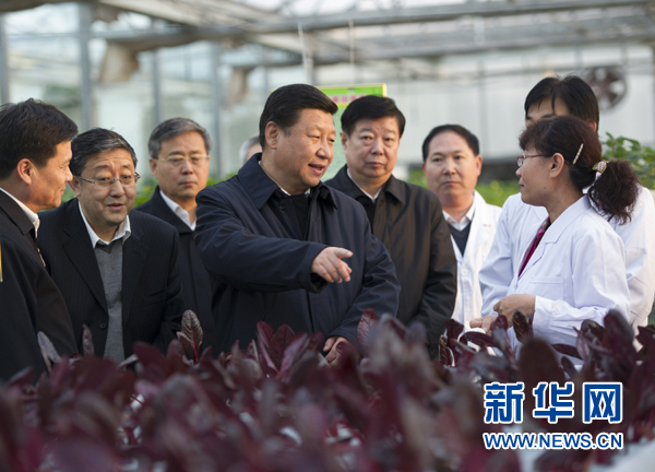  27日下午，習近平在山東省農(nóng)業(yè)科學院智能化溫室了解農(nóng)業(yè)科技創(chuàng)新情況。