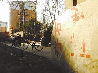 昨日，“上海奇石盆景博物館”原址上，已矗立起小區(qū)樓盤，而刻著博物館名的巨石，廢棄在一旁。本版圖片/新京報記者 張永生 攝