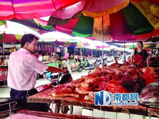  昨日，玉林垌口市場(chǎng)，一位市民在購買狗肉。