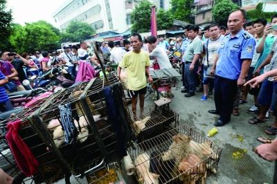 今天是廣西玉林狗肉節(jié)，市場上的攤販增加了數(shù)倍，城管也出動對市場上的占道行為進行規(guī)范 記者 劉暢 攝