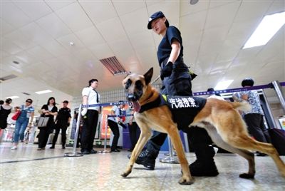 地鐵王府井站搜汽油警犬在安檢口巡邏。新京報(bào)記者 王貴彬 攝