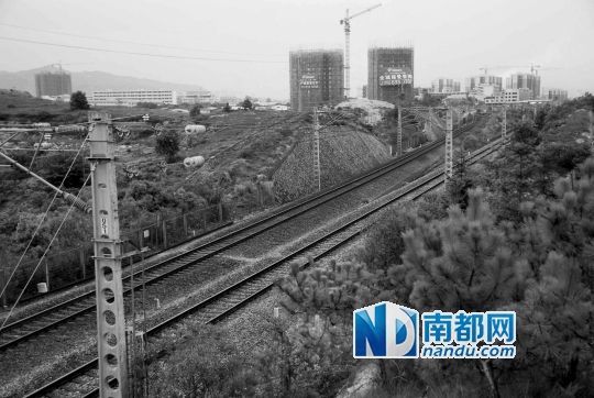 　東源縣法院院長(zhǎng)被火車撞亡事發(fā)地段。