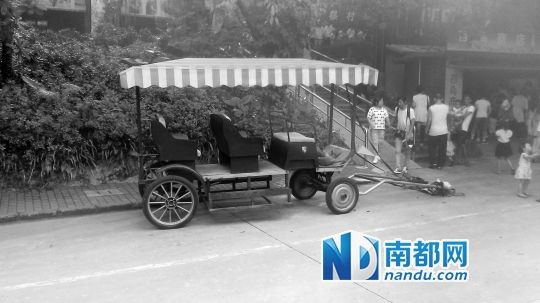 園方則稱解剖后發(fā)現(xiàn)馬死于心臟衰竭，“與累無(wú)關(guān)”。