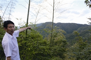 村民吳學田告訴記者，對面兩座山就是潘建友承包的部分山場 見習記者 邱一文 攝