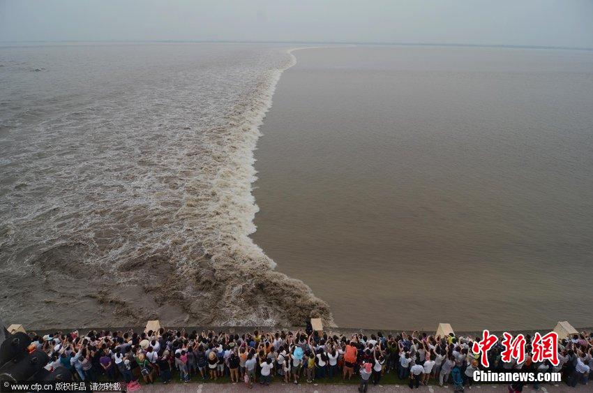 數(shù)萬(wàn)人浙江嘉興觀看錢塘大潮