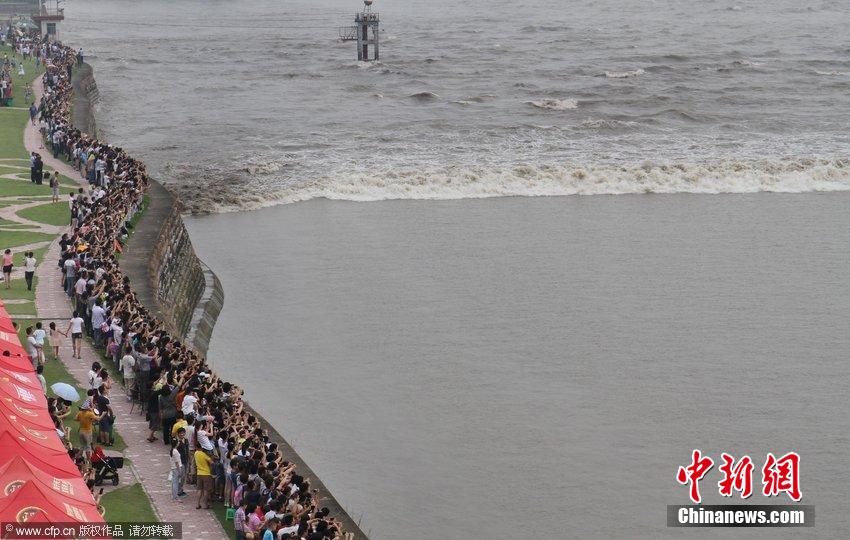數(shù)萬(wàn)人浙江嘉興觀看錢塘大潮