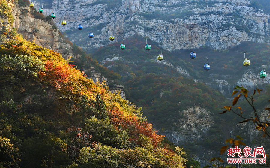 索道下的山坡，陽(yáng)光灑在色彩繽紛的樹葉上