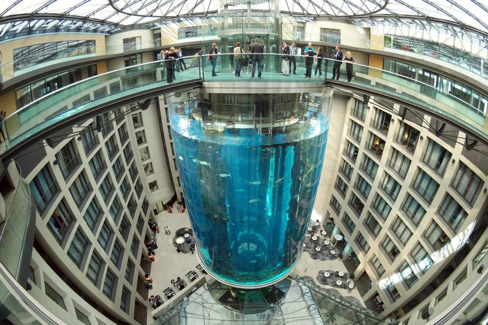 在圓柱水族館主體下方，還有一些別的展館。