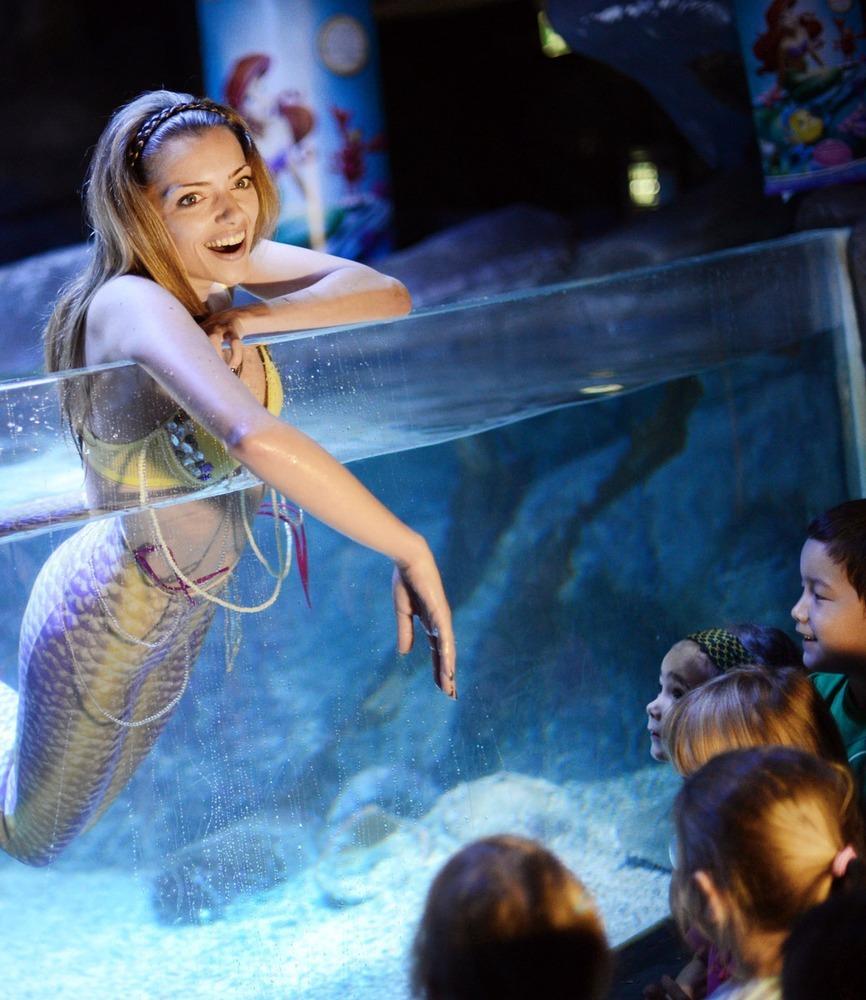 德國女演員安妮·門登在水族館里客串了一把“美人魚”，順便為她的電影《小美人魚》做宣傳。