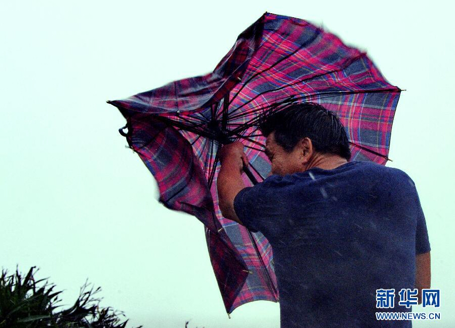 8月8日，福建省石獅市漁民在風(fēng)雨中前行。
