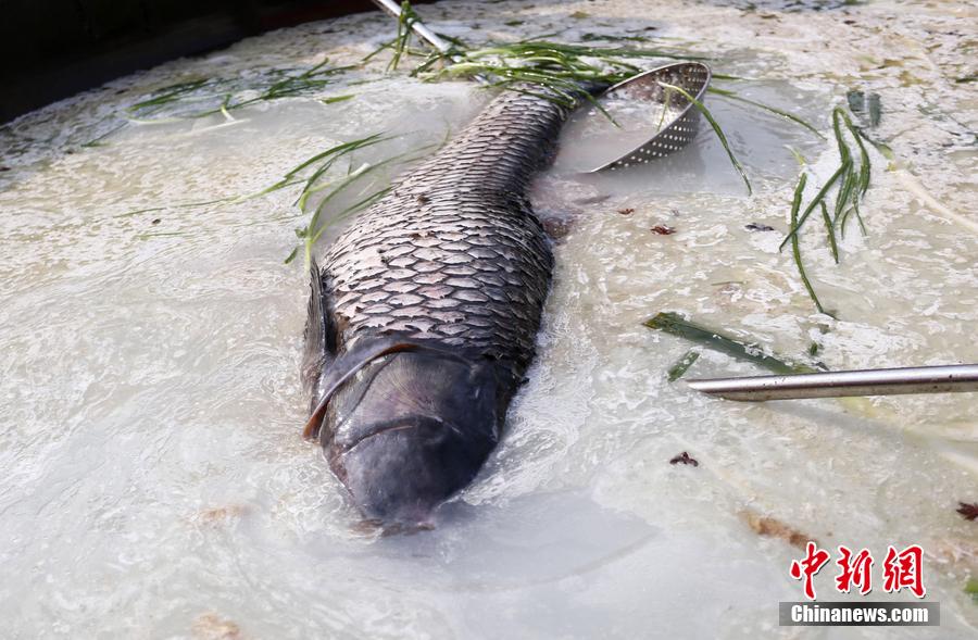 “魚王”在3米大鍋內(nèi)烹飪。 圖片來源：CFP視覺中國