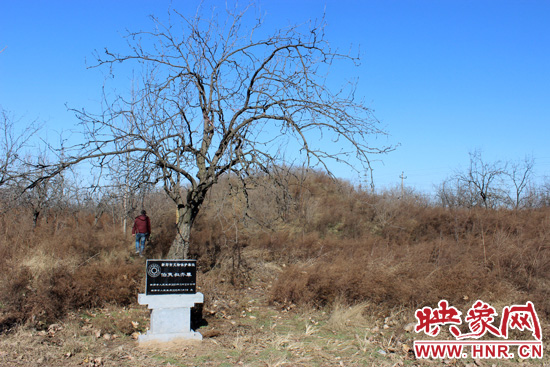 在叔齊墓的前面，豎著新鄭市人民政府今年剛立的石碑，上面寫著“新鄭市文物保護單位”。