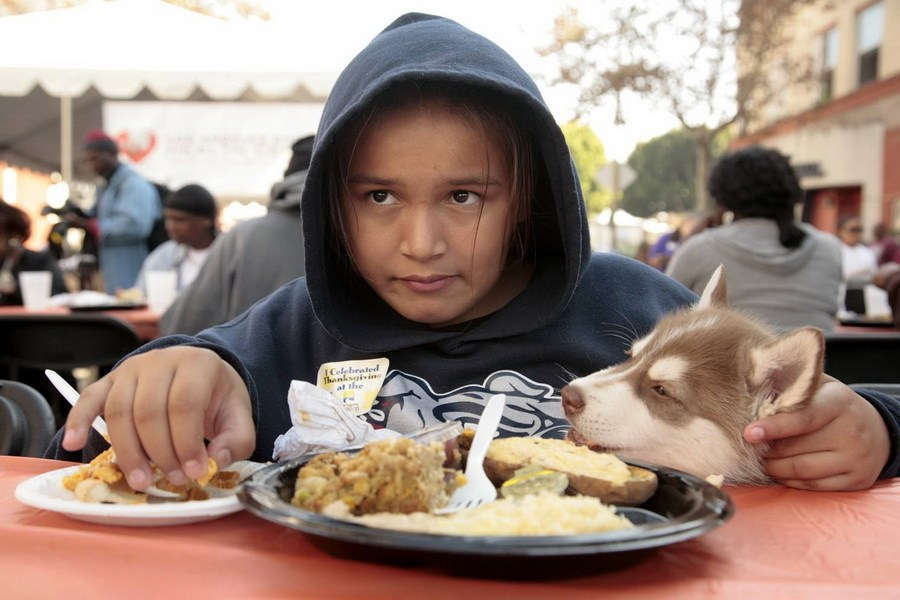 11月21日，加州洛杉磯的游民巷，12歲的堂娜·赫南德茲抱著愛犬“湯米”，安靜地吃著免費的感恩節(jié)飯菜
