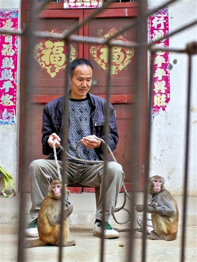 10月13日，耍猴人鮑慶山牽著從牡丹江帶回的兩只小猴在家門口玩耍。
