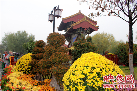 天好、花美 中國開封第32屆菊花文化節(jié)延長一周