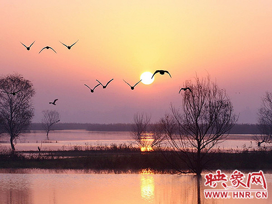 濟(jì)源小浪底景區(qū)積極籌備第五屆“觀鳥(niǎo)季”