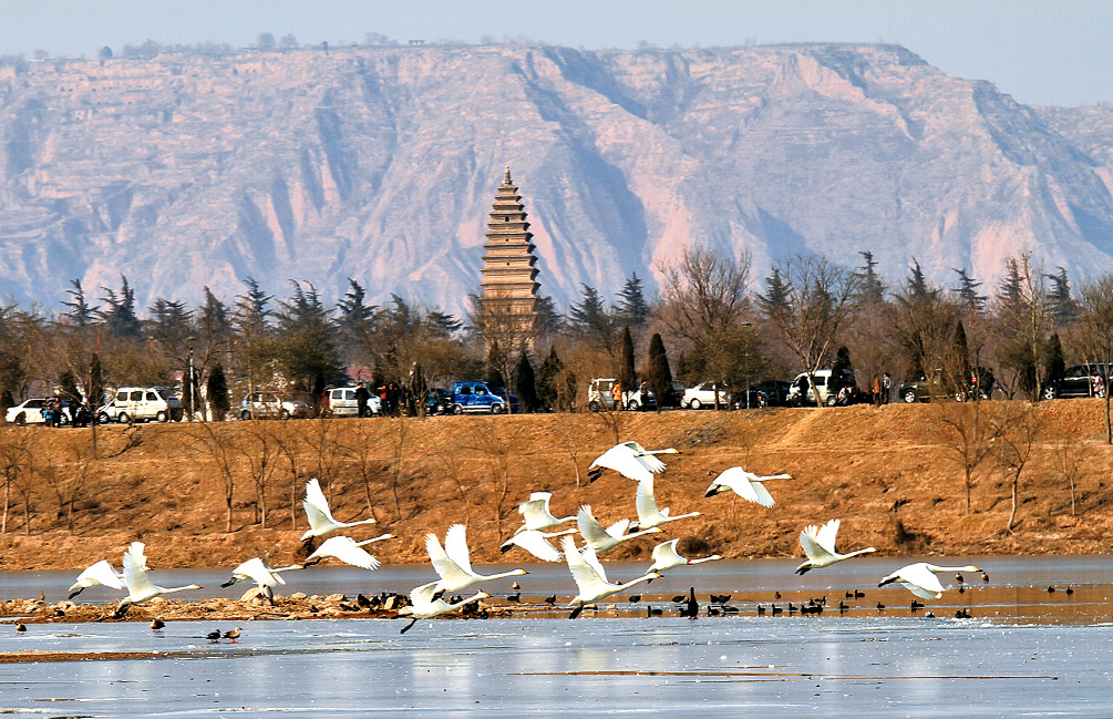 5月19日，“中國(guó)旅游日”河南分會(huì)場(chǎng)活動(dòng)將在天鵝之城——三門峽舉辦。