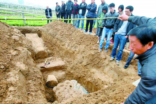 碑帽、赑屃、碑座、碑身依次排開(kāi)