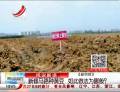 新修馬路種黃豆  如此做法為哪般？
