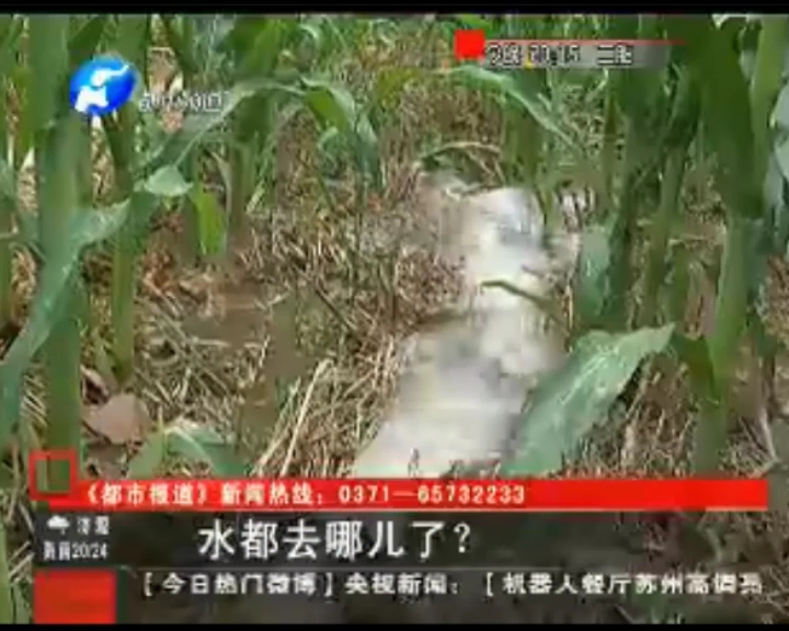 水都去哪了？
