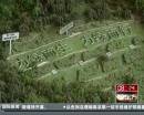 “垃圾場”拍婚紗：玩噱頭還是做環(huán)保？