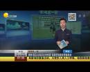 爽??！國足出線后還有驚喜 張稀哲狼堡首秀獻(xiàn)助攻