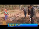 兩會大參考：農(nóng)民“職業(yè)化”實(shí)現(xiàn)增收
