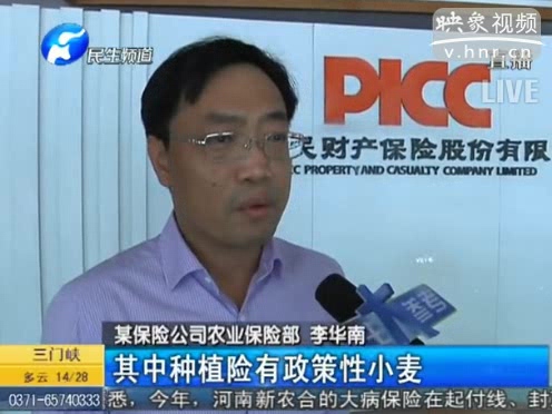 冰雹惹禍 損失能索賠嗎？