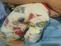 猛獸出沒 注意！2歲男童在動物園被白虎咬掉右臂