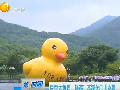 巨型大黃鴨“暢游”本溪關(guān)門(mén)山水景