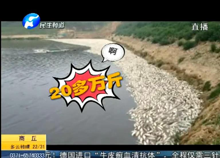 20萬斤魚翻肚因缺氧？