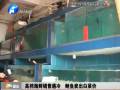 高檔海鮮銷售遇冷 鮑魚賣出白菜價(jià)